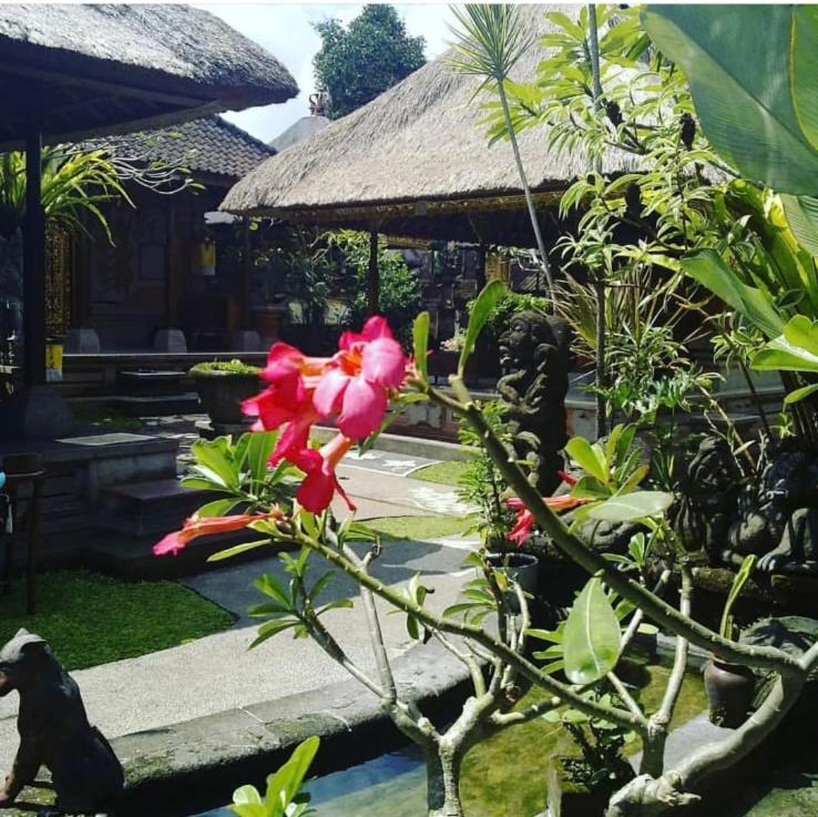 Family Guest House Ubud Exterior foto